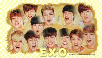 Exo Sunny 10