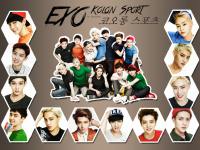 EXO : Kolon Sport