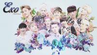 Exo Happy Camp