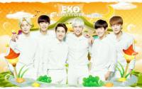 EXO [K] - Nature Republic - july 2014