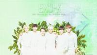 EXO-K : Nature Republic