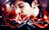 SungJong Wallpaper