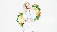 Simple Wallpaper-Alice [HELLO VENUS]