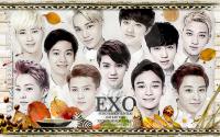 EXO_Nature Republic_august [2014