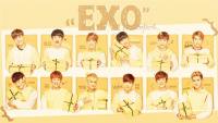 EXO ♥ Sunny10 [วอลล์แก้บน] #4