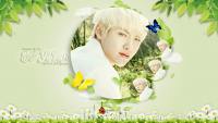 Wu Yi Fan - Nature Wallpaper