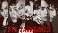 BTS DARK&WILD