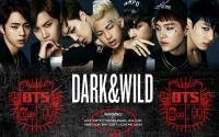 BTS - Dark And Wild