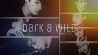 Wallpaper BTS-Dark & Wild