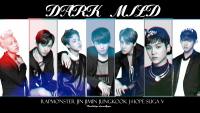 BTS Dark And Mild#4