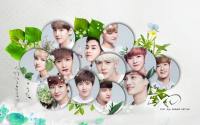 EXO :: NATURE REPUBLIC 2014