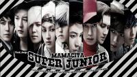 Super Junior Mamacita *1