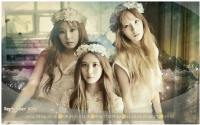 TAETISEO "HOLLER ver.2"