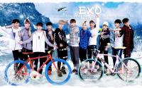 EXO_For_AIMA BIKES 2014