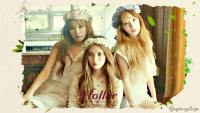 Taetiseo 'Holler' ver.2