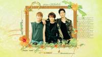 Royal Pirates | Nature