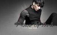 Prince Of Dark