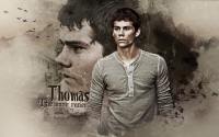 :: Thomas Maze runner ::