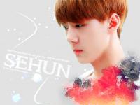 ★ SEHUN ★ [EXO]