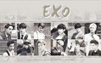 EXO x MCM Photobook Grey ver.