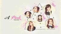 A PINK - 5th Mini Album