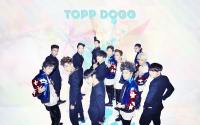 Topp Dogg | Annie Comeback