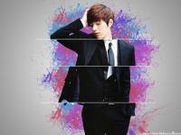 Kim Myungsoo 