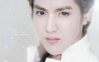 • Wu Yifan •