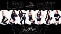 AOA | Like A Cat