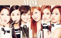 APINK : PINK LUV ver.1