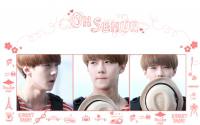 Sehun::wallpaper