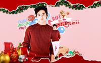 GIFT FOR CHRISTMAS :: HOYA!