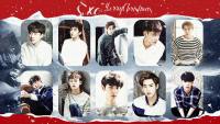 EXO : Merry Christmas 2014