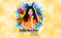 Happy New Year 2015:[2]