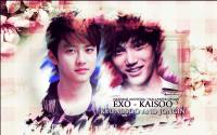 Happy KaiSoo Day