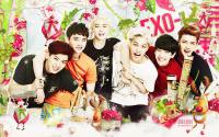 EXO -K