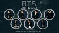 BTS : DARK & WILD