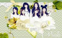 Apink