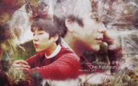 Happy Birthday " Cho Kyuhyun "