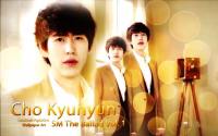 SCH Super Junior Kyuhyun