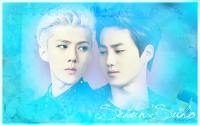 EXO (Sehun&Suho)