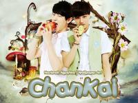 EXO ChanKai : Chanyeol & Kai