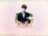 Mark | Boy Flower |