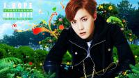 HBD J-Hope 2015 [Bright]