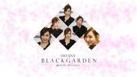 Tiffany | Black Garden