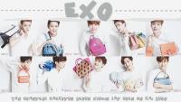 EXO : MCM