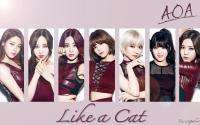 AOA - Like a Cat (Japan Version)