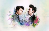 D&E project.