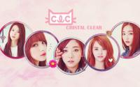 CLC cube