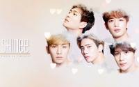 SHINee :: the SAEM